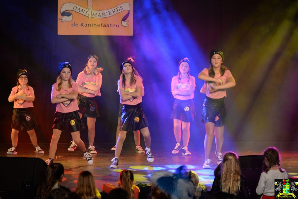 ../Images/Dansmarieke festival 2018 375.jpg